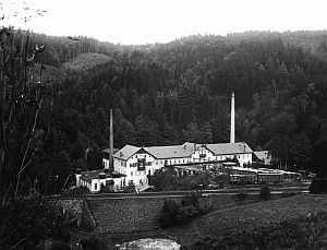 Die Sputhmühle um 1930